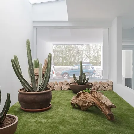 Afortunadas - Playa 2ºc Apartament *